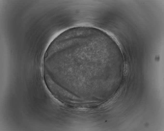 X0000097921295200803281417