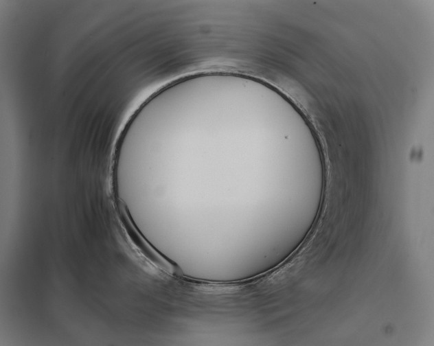 X0000097921296200803281417