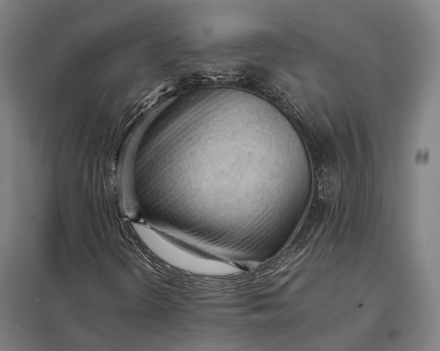 X0000097921298200803281416