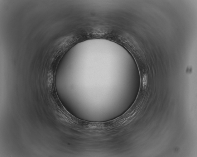 X0000097921299200803281416