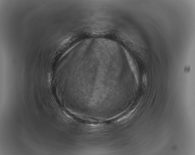 X0000097921300200803281416