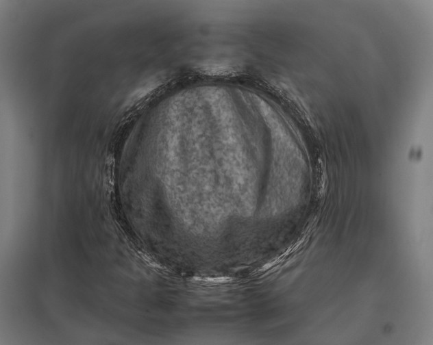 X0000097921301200803281417