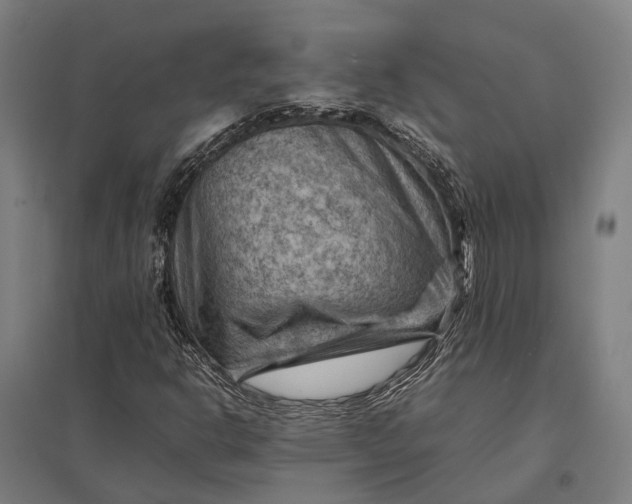 X0000097921302200803281417