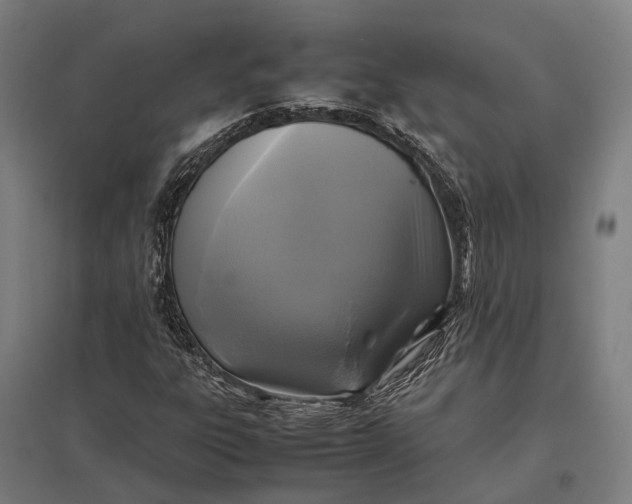 X0000097921303200803281417