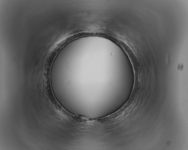 X0000097921304200803281417