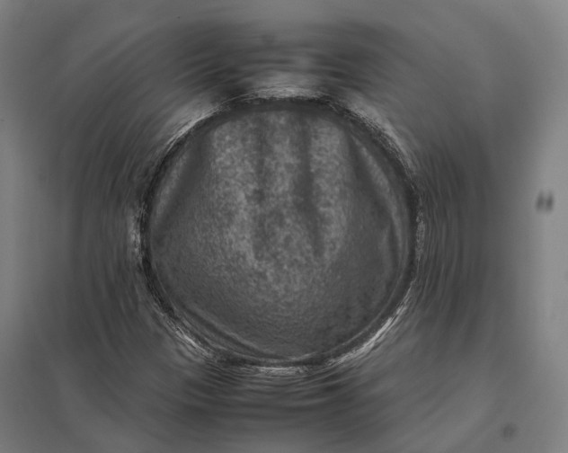 X0000097921305200803281417