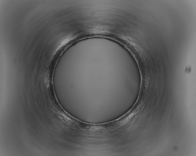 X0000097921306200803281417