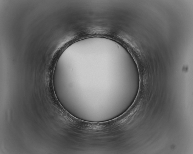 X0000097921309200803281417