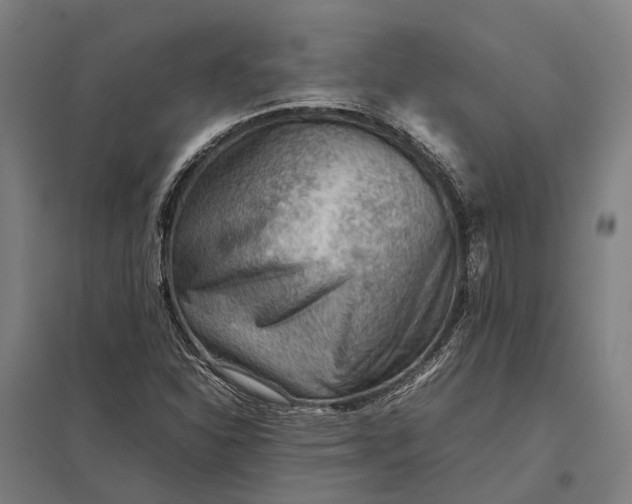 X0000097921310200803281417