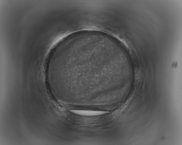 X0000097921311200803281417