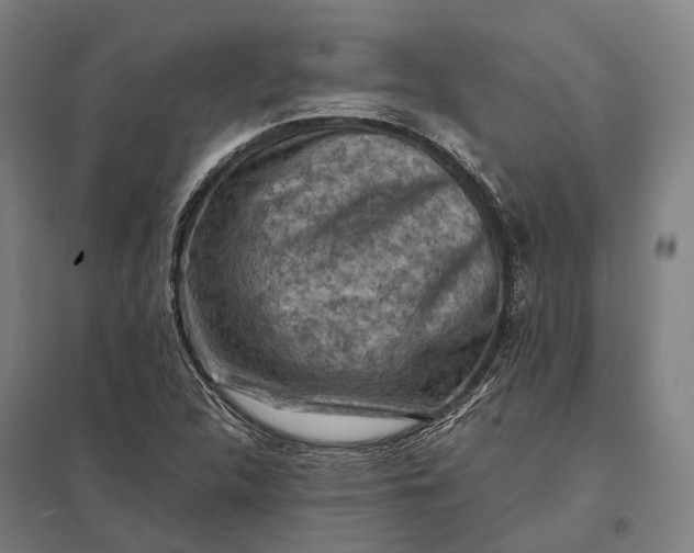 X0000097921312200803281417