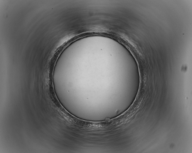 X0000097921315200803281417