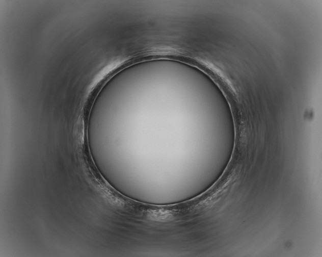 X0000097921317200803281417