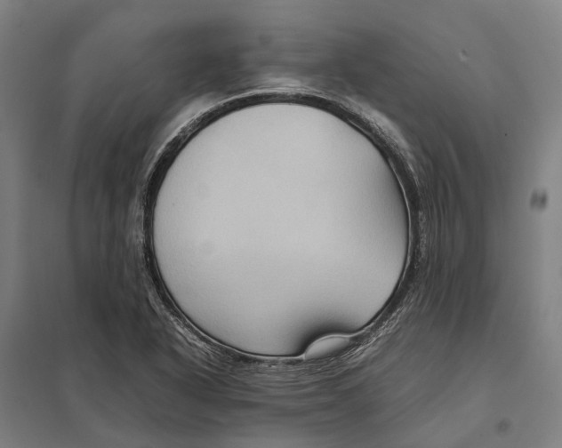 X0000097921318200803281417