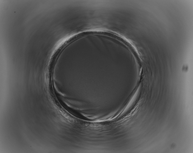 X0000097921319200803281417