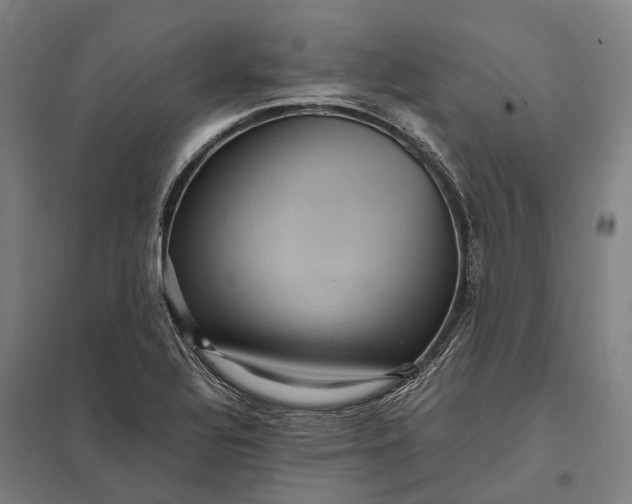 X0000097921320200803281417