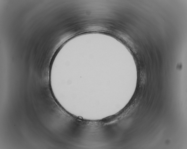 X0000097921322200803281417