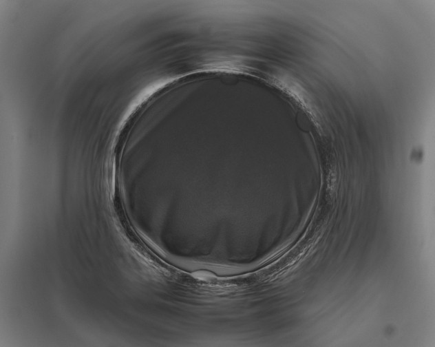 X0000097921323200803281417