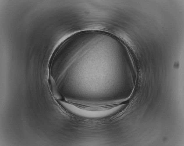 X0000097921324200803281417