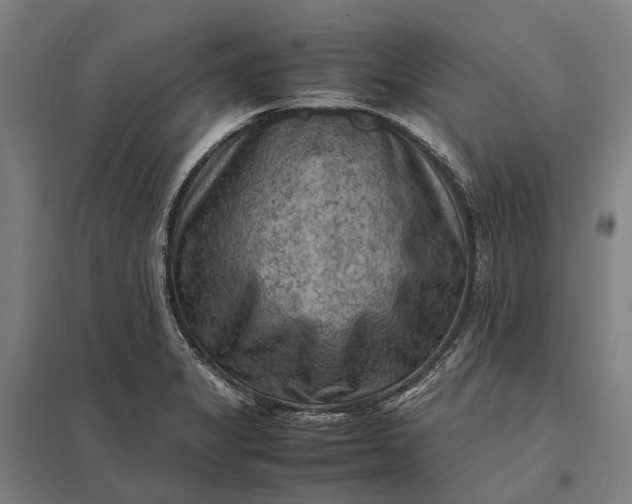 X0000097921325200803281417