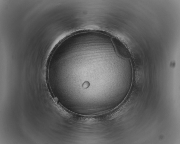 X0000097921326200803281417