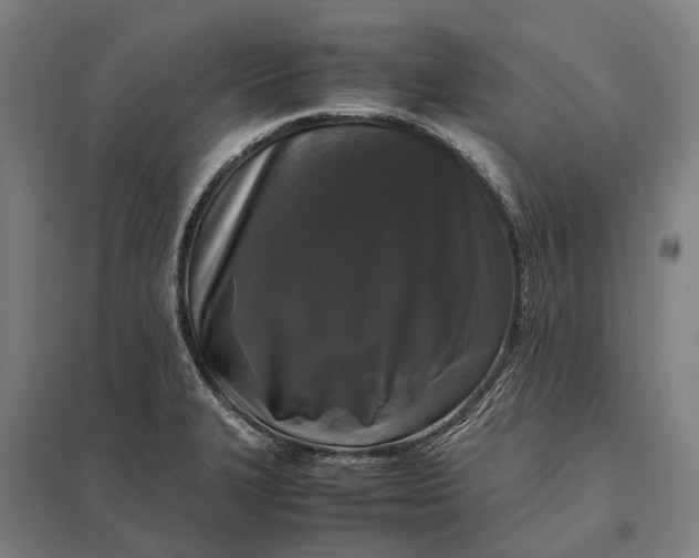 X0000097921327200803281417