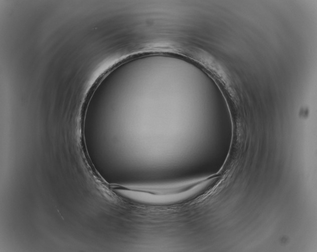 X0000097921328200803281417