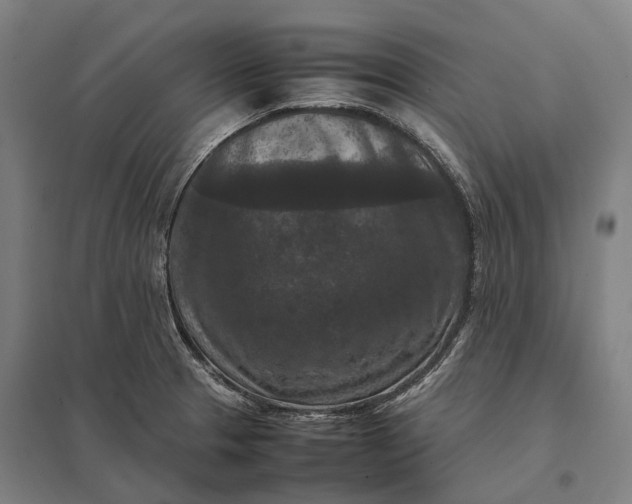 X0000097921329200803281417