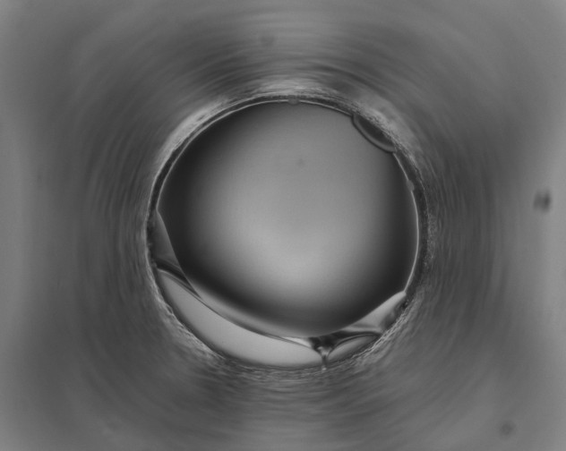 X0000097921330200803281417