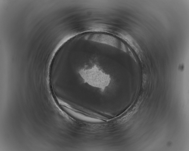 X0000097921331200803281417