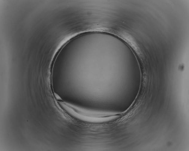 X0000097921332200803281417