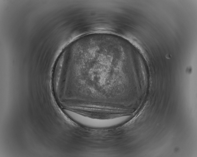 X0000097921333200803281417