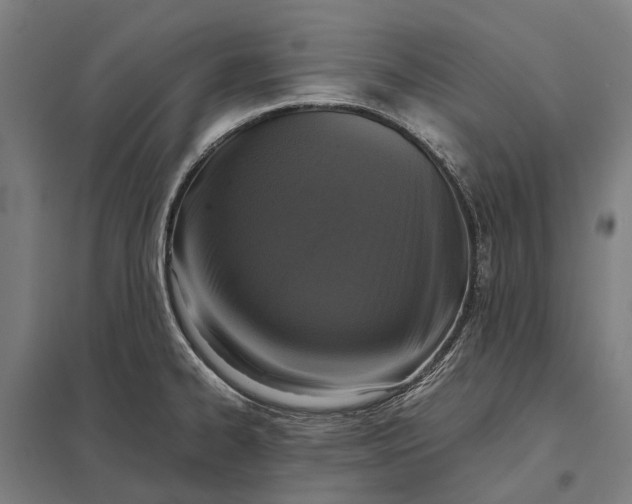 X0000097921334200803281417