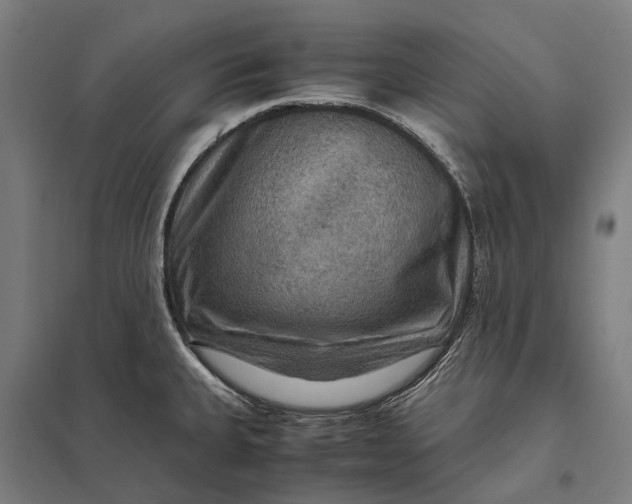 X0000097921335200803281417