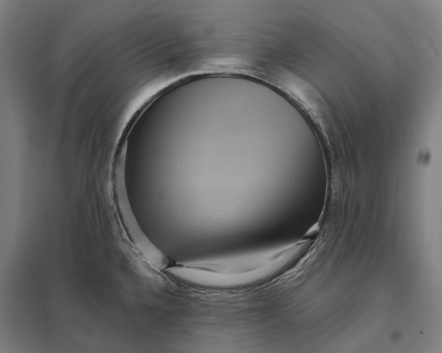 X0000097921336200803281417