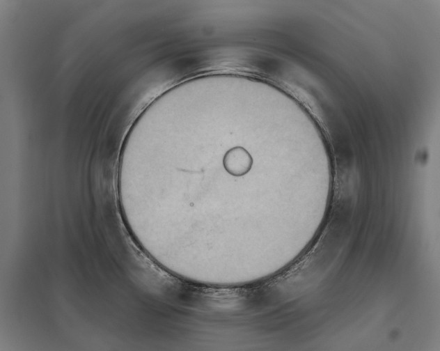 X0000097921338200803281417