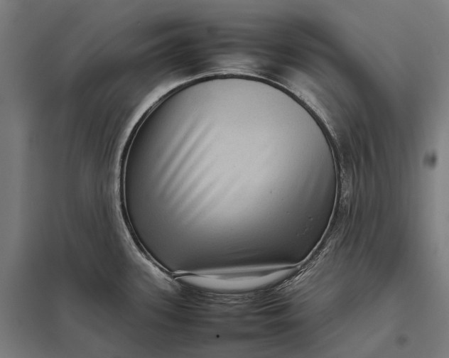 X0000097921339200803281417