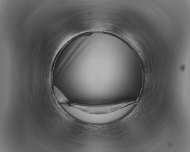 X0000097921340200803281417