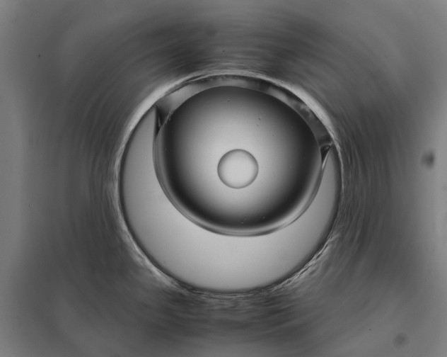 X0000097921341200803281417