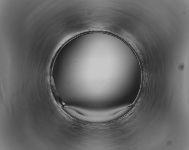 X0000097921342200803281417