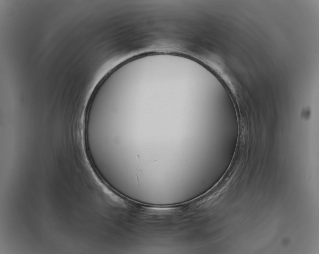 X0000097921343200803281417