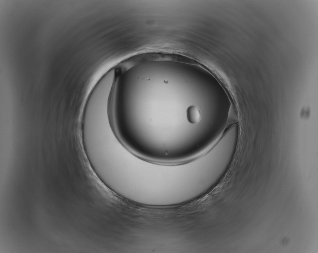 X0000097921344200803281417