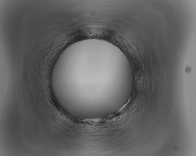 X0000097921345200803281416