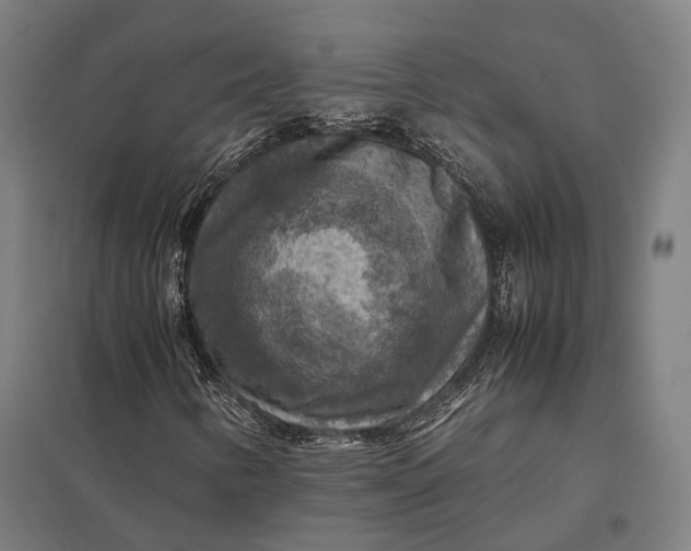 X0000097921346200803281416