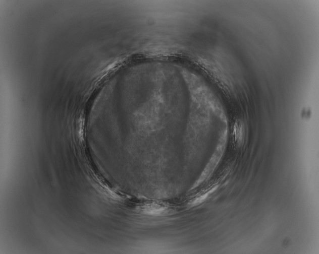 X0000097921348200803281416