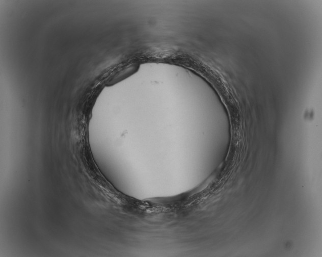 X0000097921349200803281416