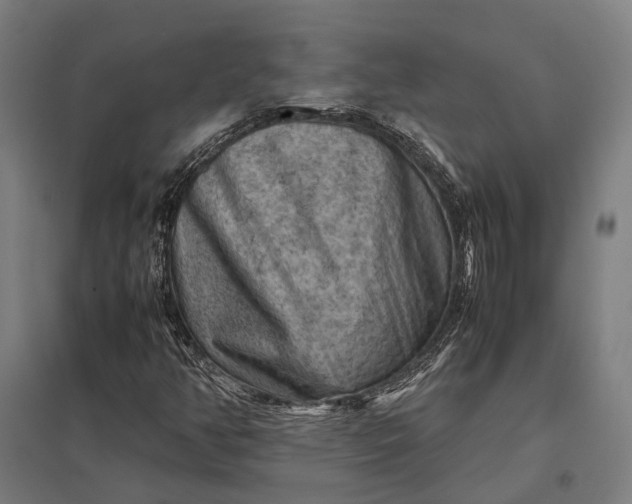 X0000097921350200803281416