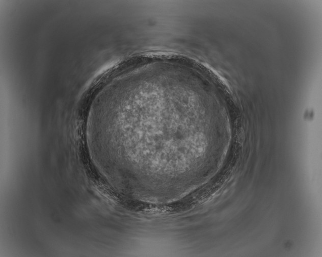 X0000097921351200803281416