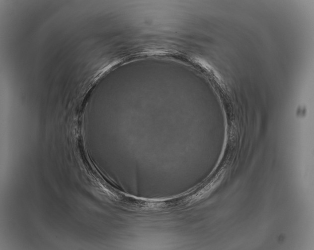 X0000097921353200803281416