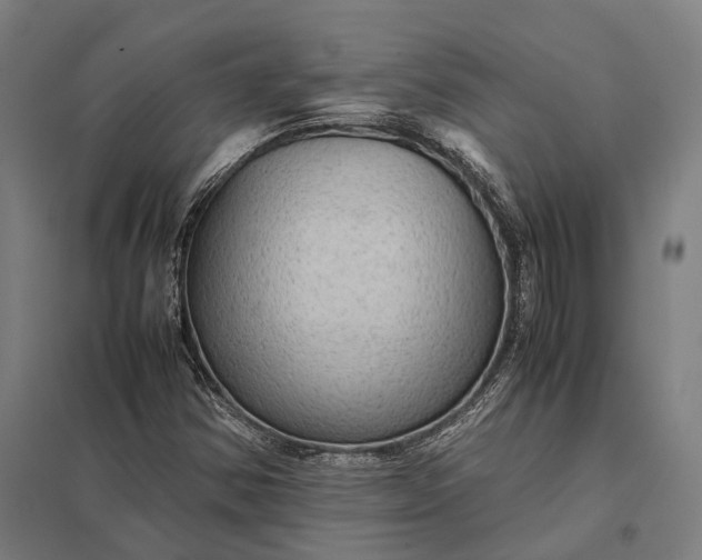 X0000097921354200803281416